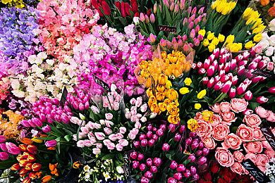 国产惊悚游戏《三伏》新情报公开 年底公布试玩DEMO