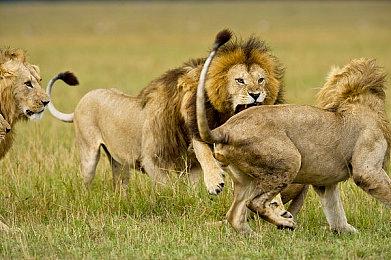 Steam夏促来袭 不容错过的Steam夏促史低打折游戏